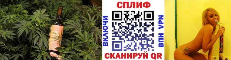Canna-Cookies марихуана  KRAKEN ссылка  Ачхой-Мартан 