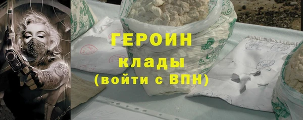 индика Бородино