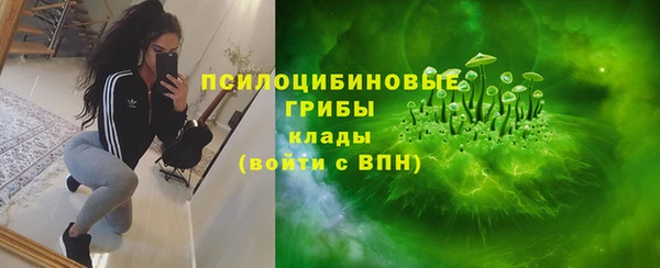 индика Бородино