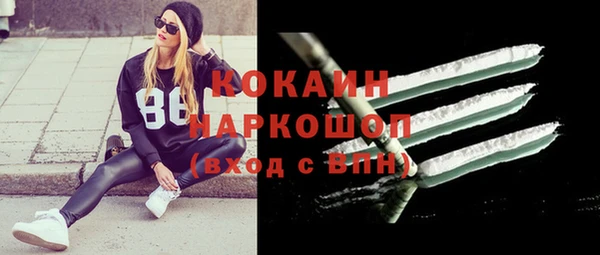 сатива Бронницы