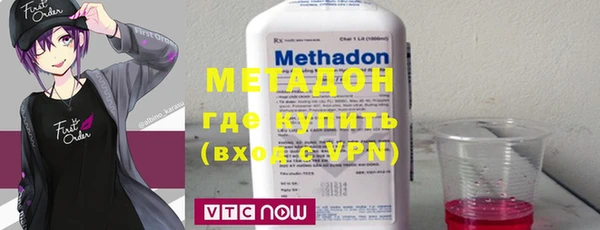 индика Бородино