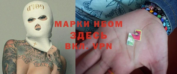 индика Бородино