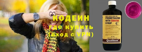 индика Бородино