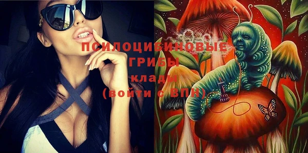 индика Бородино