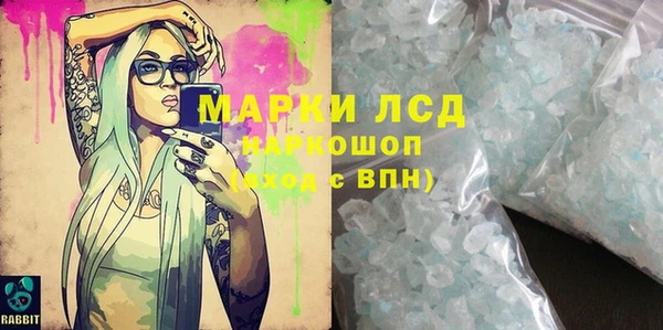 индика Бородино