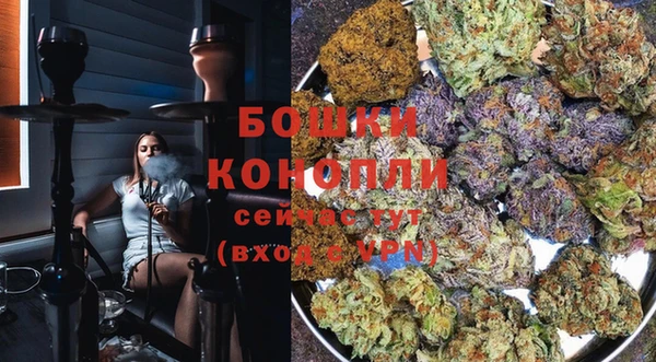 сатива Бронницы