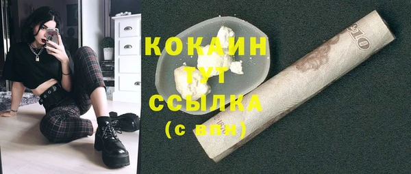индика Бородино
