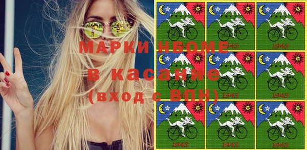 индика Бородино