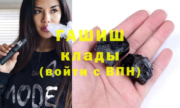 индика Бородино