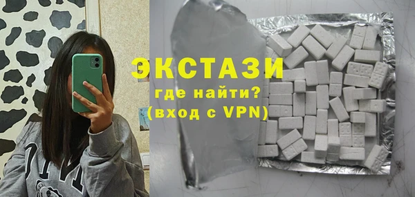 индика Бородино