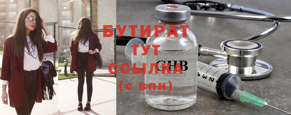 индика Бородино