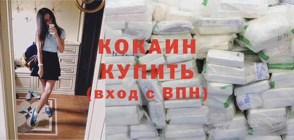 индика Бородино