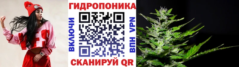 дарнет шоп  гидра ссылки  Каннабис конопля  Ачхой-Мартан 
